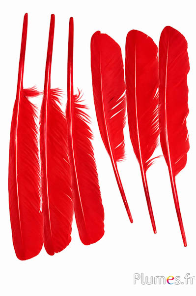 Zwaan - 30-33 cm - rood